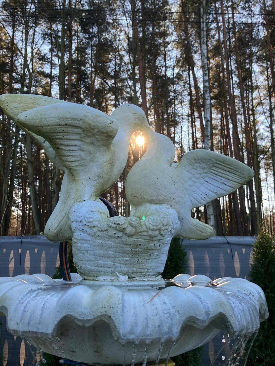 Lesny Zakatek Malediwy Spa Jaworzno Extérieur photo